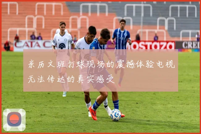亲历文班打球现场的震撼体验电视无法传达的真实感受