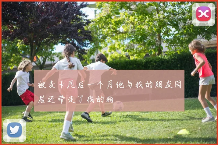 被麦卡甩后一个月他与我的朋友同居还带走了我的狗